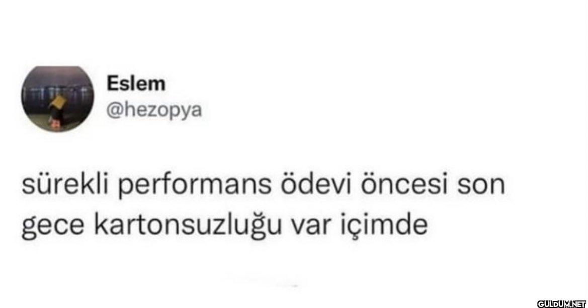 sürekli performans ödevi...