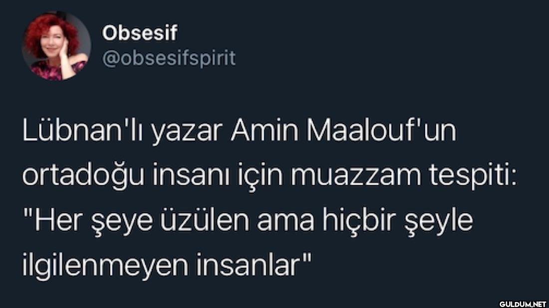 Lübnan'lı yazar Amin...