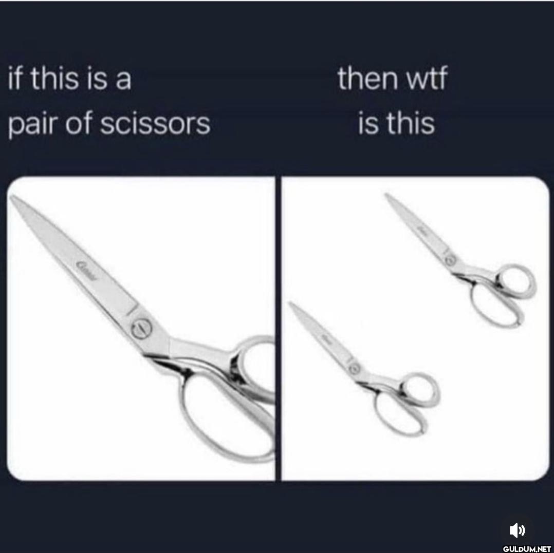 🤨    if this is a then wtf...