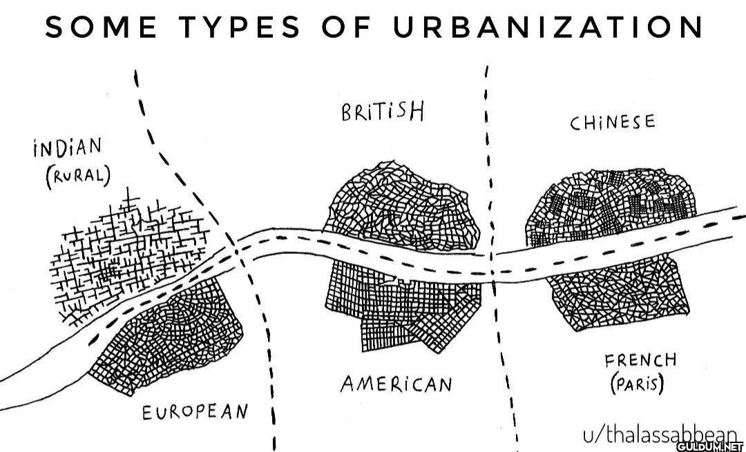 🤯🤯    SOME TYPES OF...