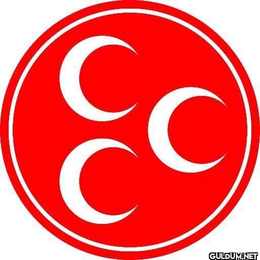 MHP Kayseri Milletvekili...