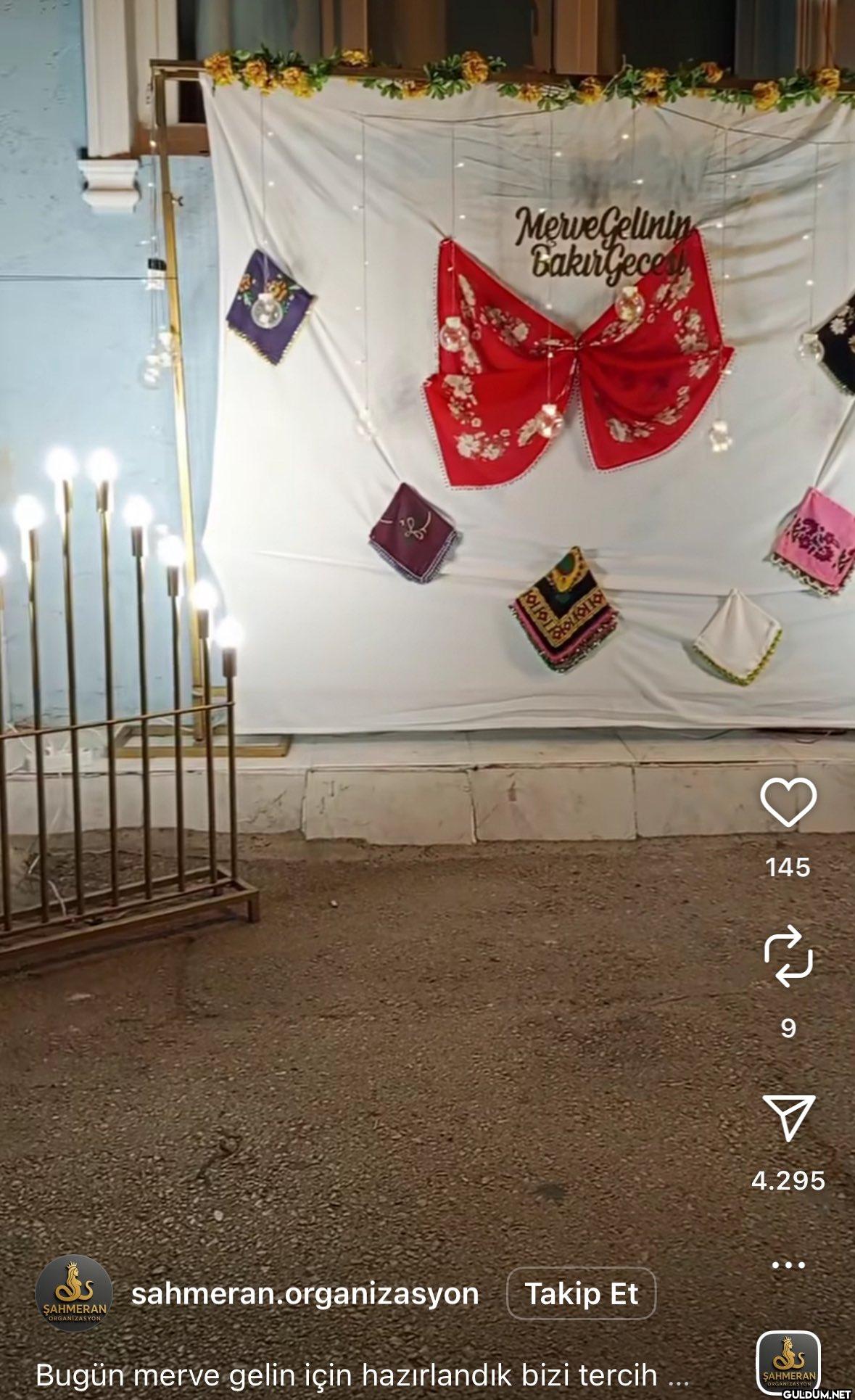 Hamınoğlu organizasyon   ...