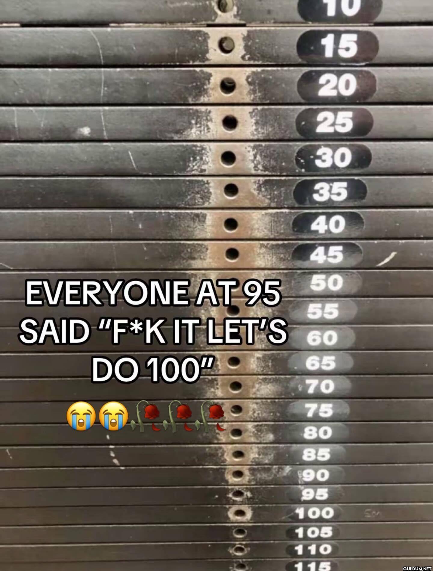 10 15 20 25 30 35 40 45...