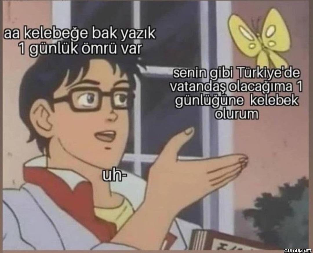 aa kelebeğe bak yazık 1...