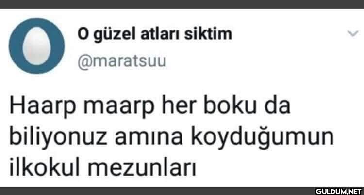 Klasik O O güzel atları...