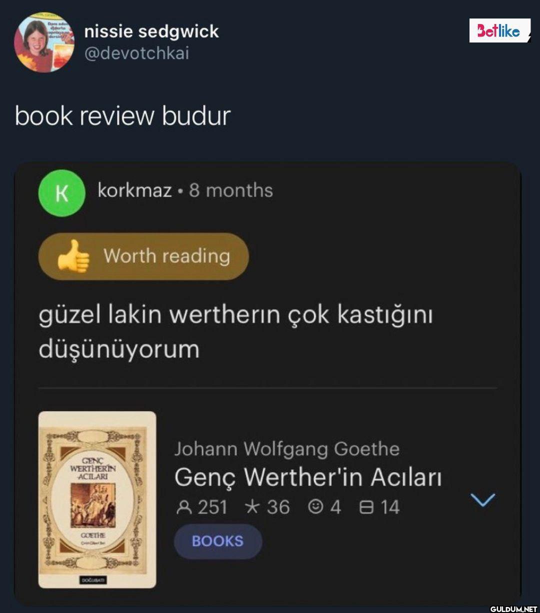 book review budur K...