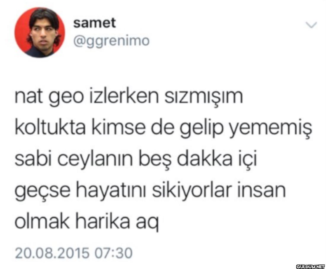nat geo izlerken sızmışım...