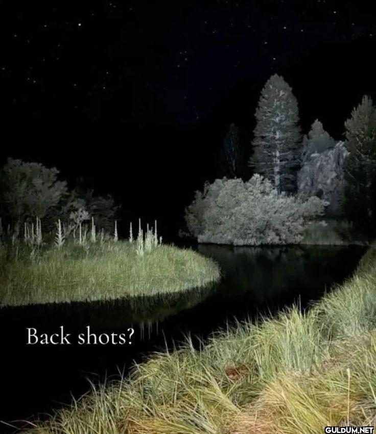 Back shots?
