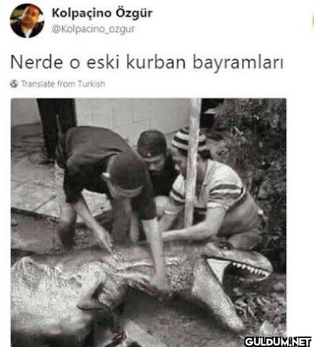 Nerde o eski kurban...