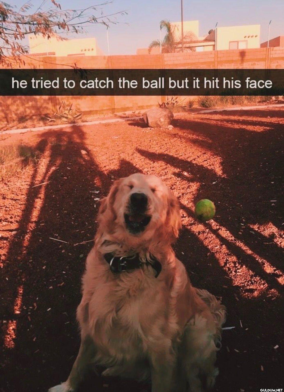 he tried to catch the ball...