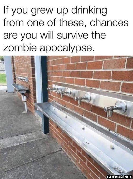 Are you surviving the...