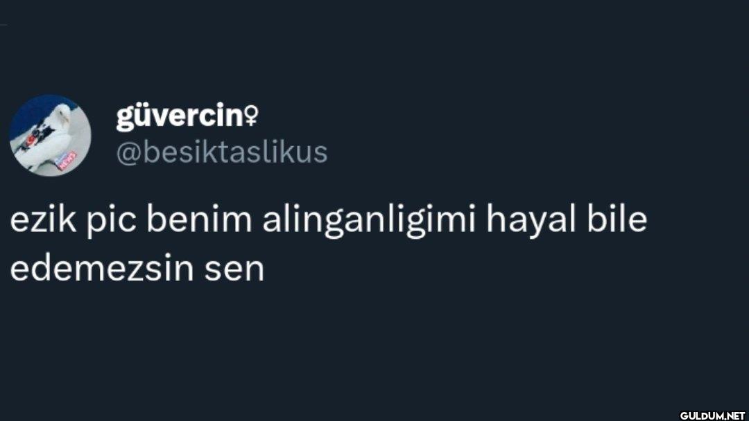 ezik pic benim...