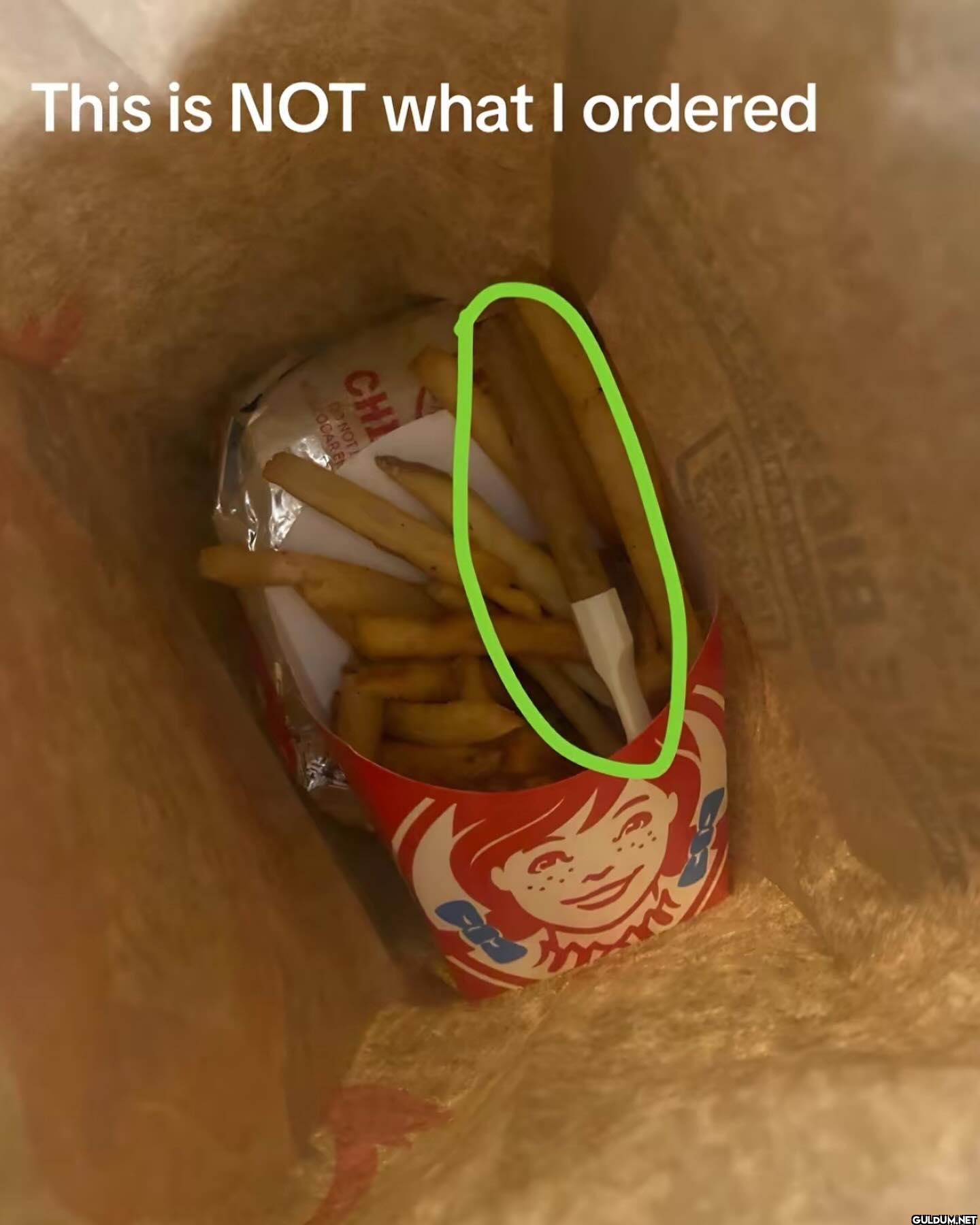 This is NOT what I ordered...