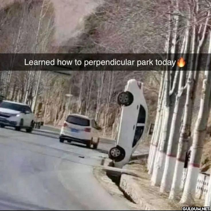 Learned how to...