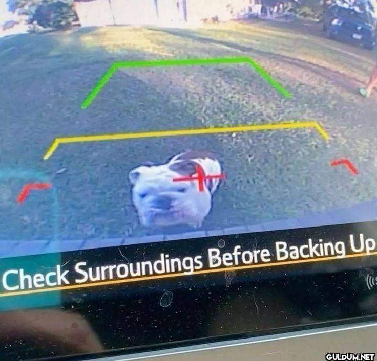 Check Surroundings Before...