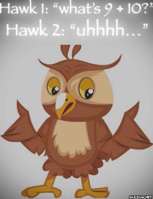 Hawk 1 what's 9 + 10? Hawk...