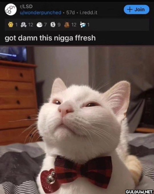 r/LSD u/wonderpunched -...
