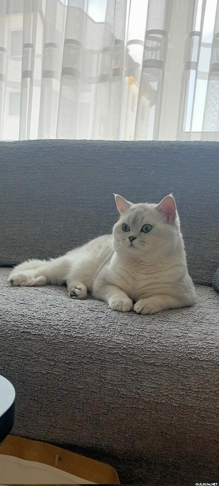 Onları sevin, sadece...