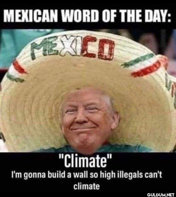 😂😂    MEXICAN WORD OF THE...