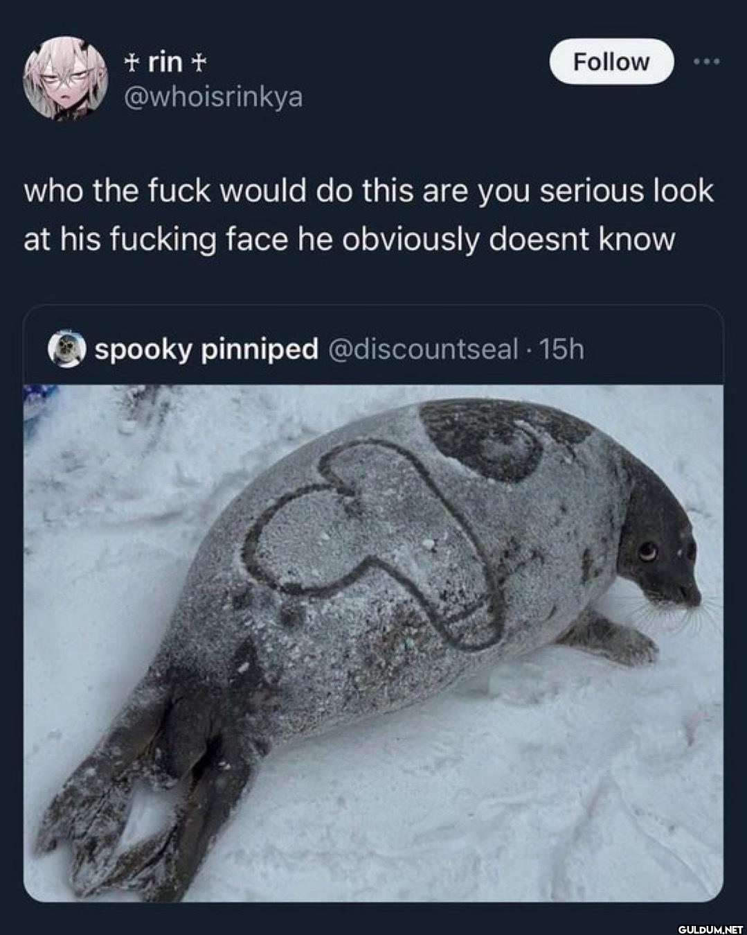 Follow who the fuck would...