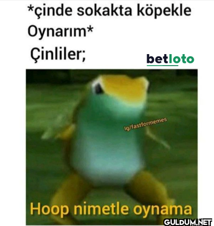 *çinde sokakta köpekle...
