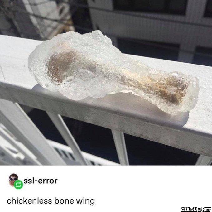 ssl-error chickenless bone wing
