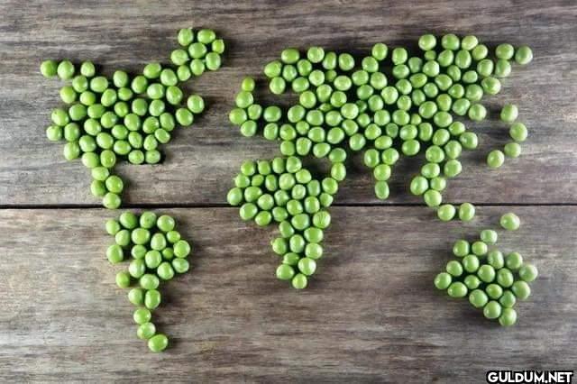 World Map of Peas