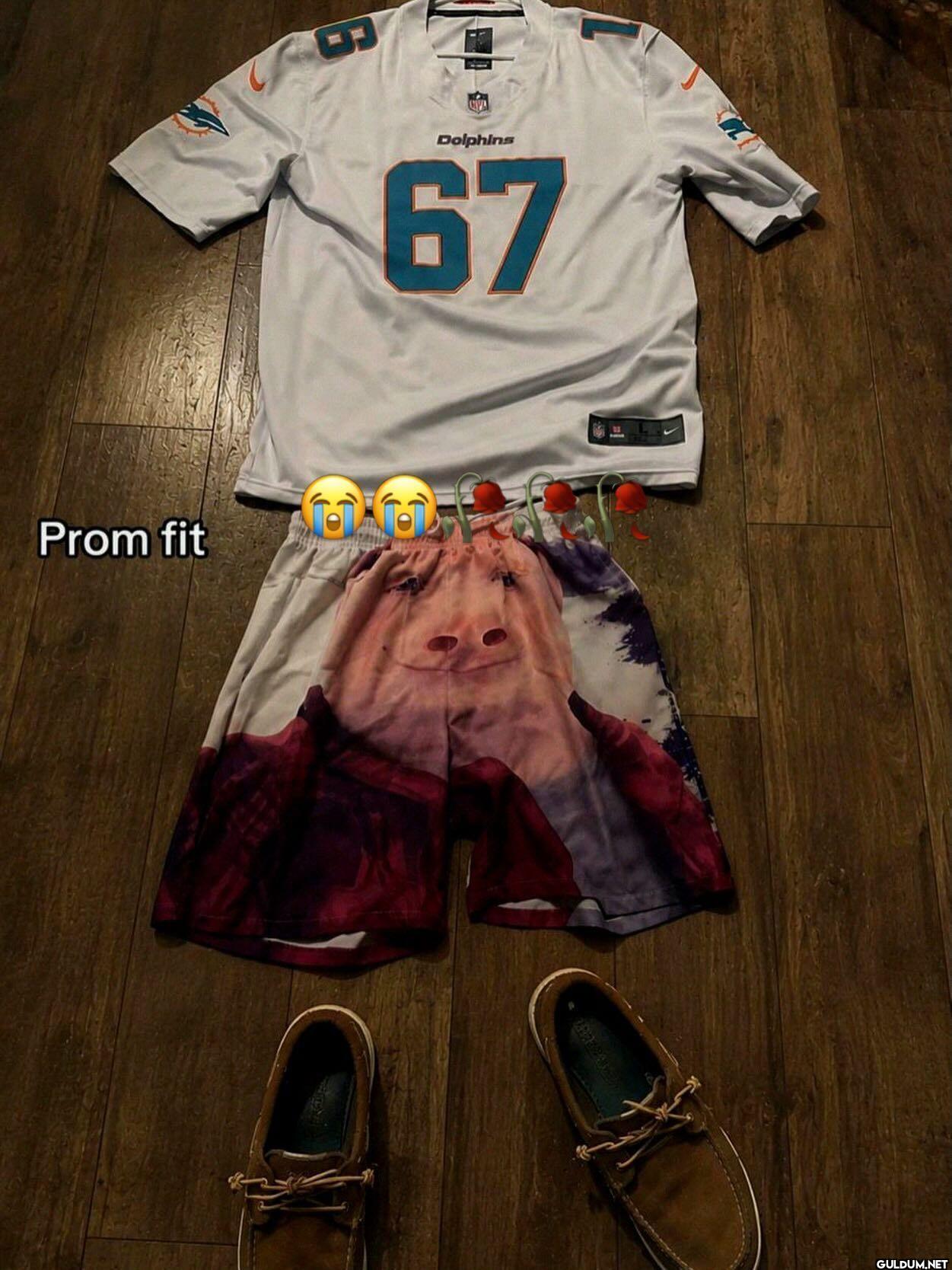 6 Dolphins 67 Prom fit