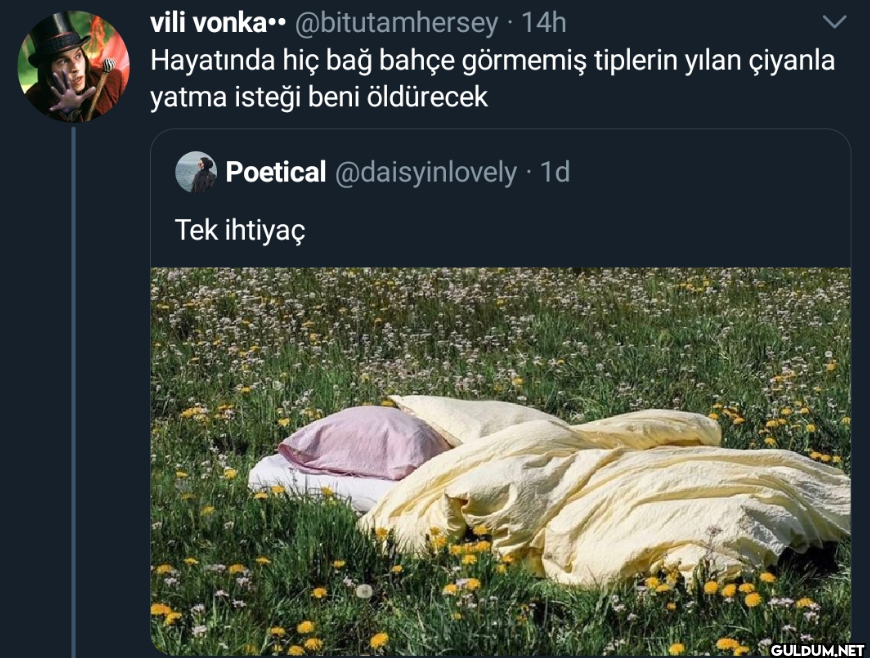 · 14h Hayatında hiç bağ...