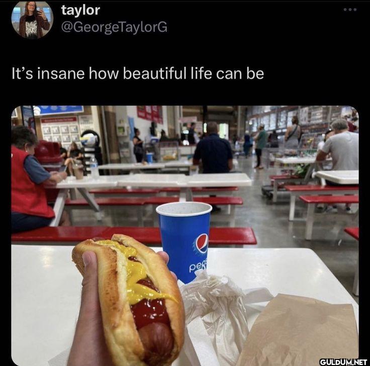 It's insane how beautiful...
