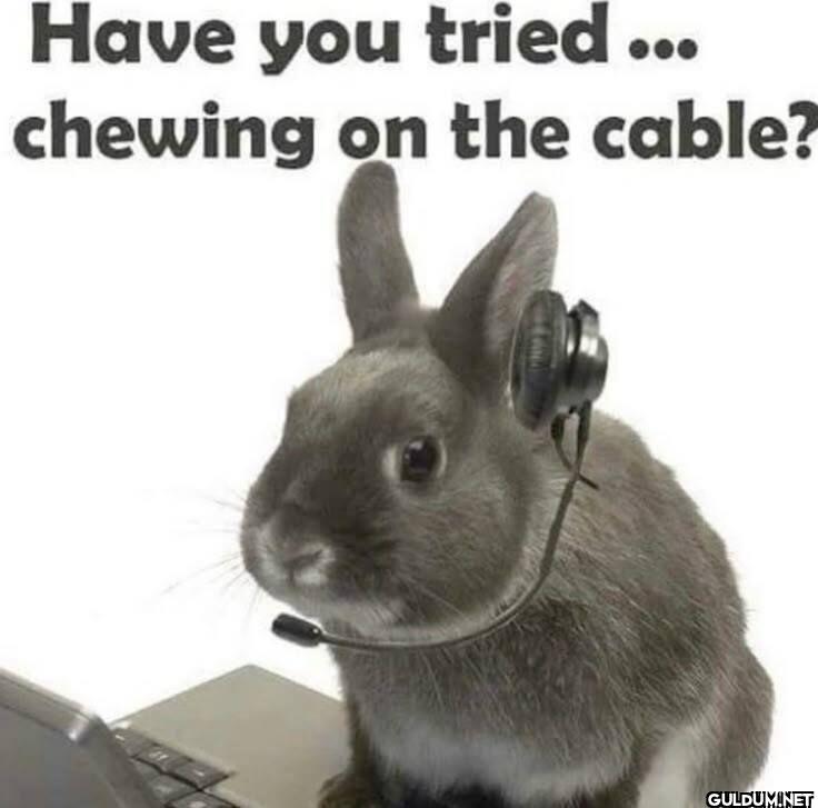 Have you tried ... chewing...