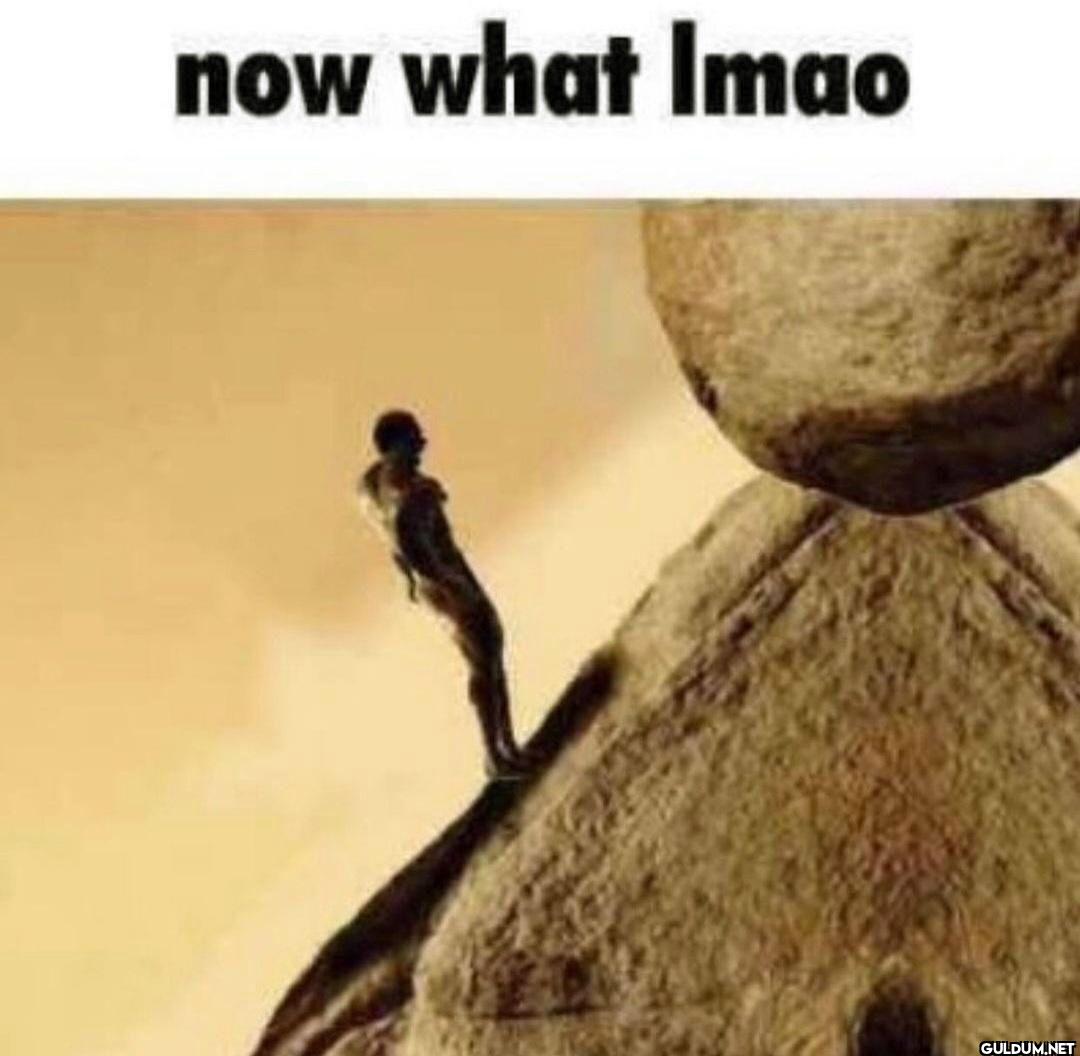 now what lmao