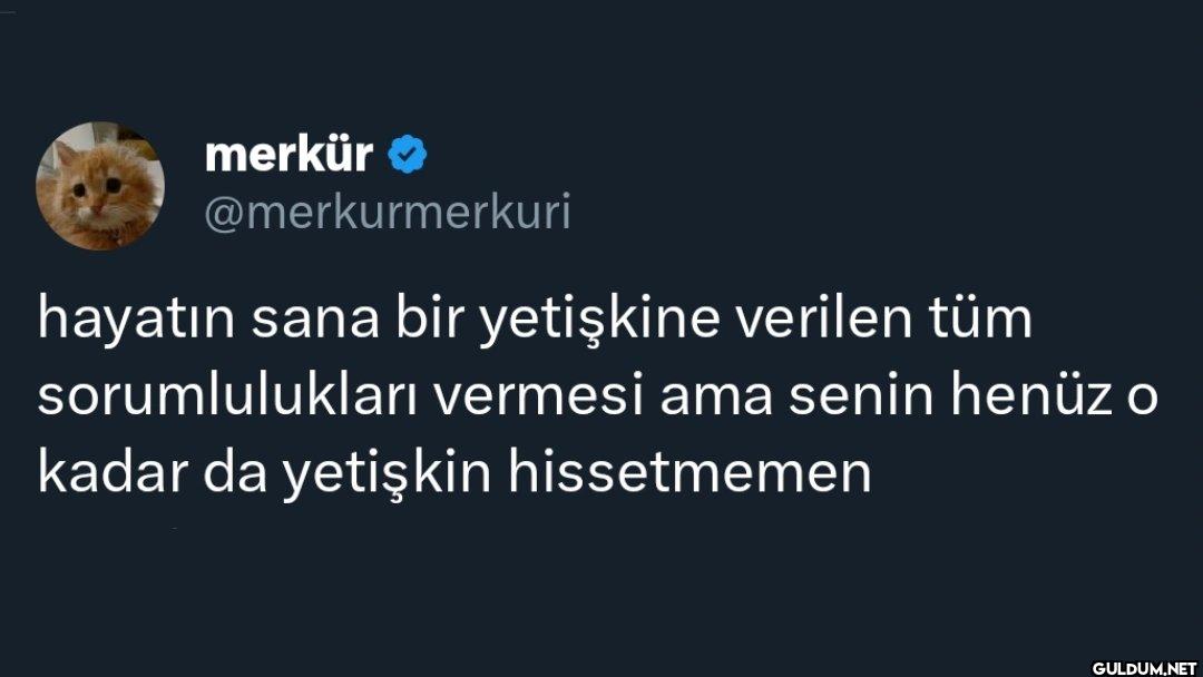 hayatın sana bir yetişkine...
