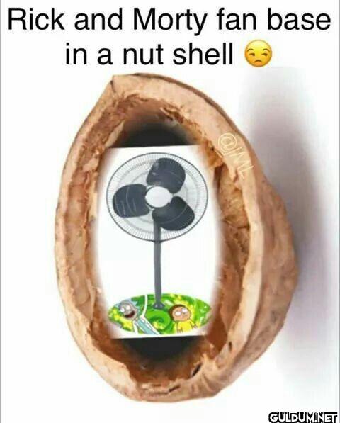 Rick and Morty fan base in...