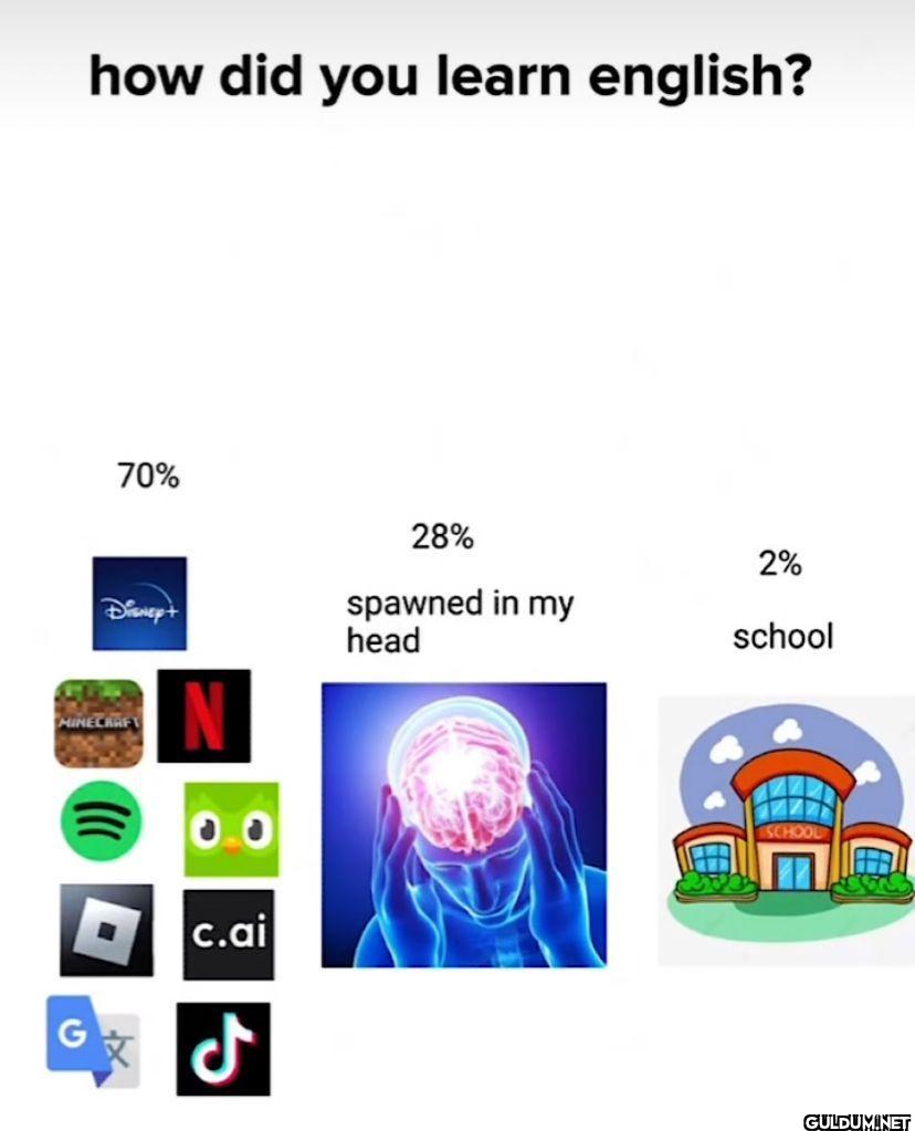 how did you learn english?...