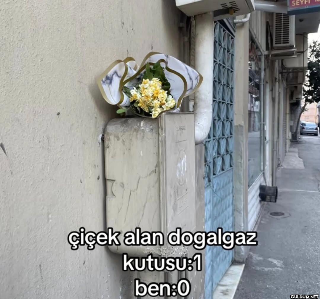 çiçek alan dogalgaz...