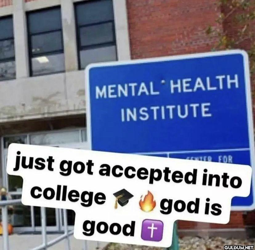 MENTAL HEALTH INSTITUTE...