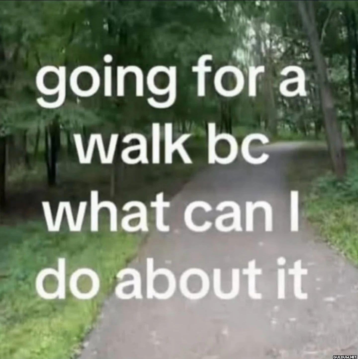 going for a walk bc what...