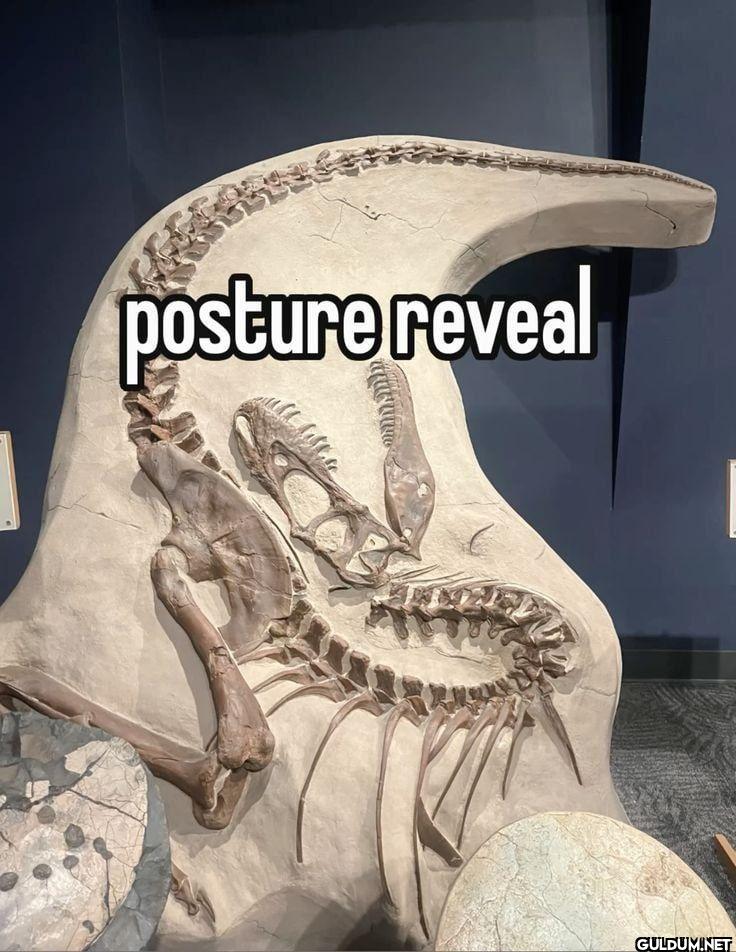 posture reveal