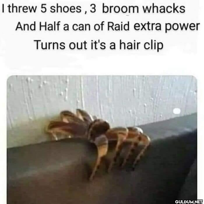 I would've burned the...