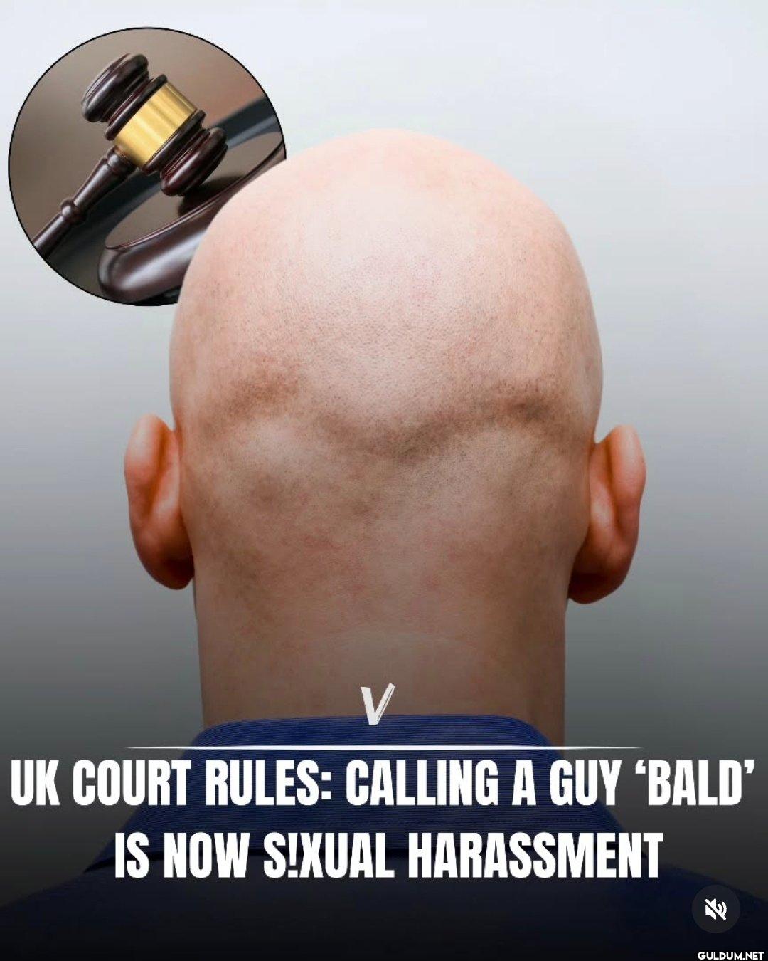 Was the judge bald?    V...