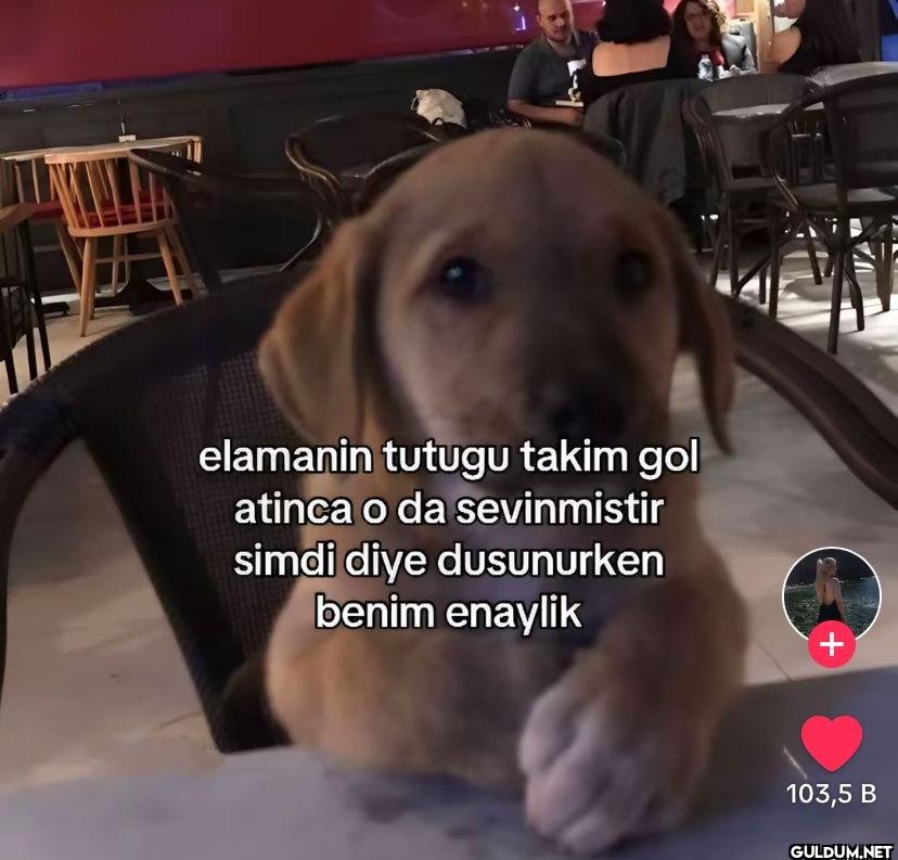 km elamanin tutugu takim...