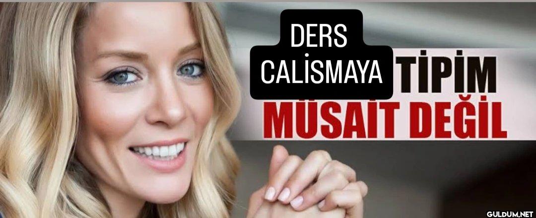 DERS CALİSMAYA TİPİM MUSAIT DEĞİL