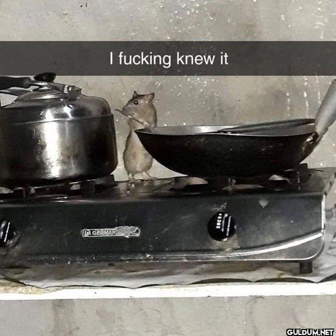 I fucking knew it