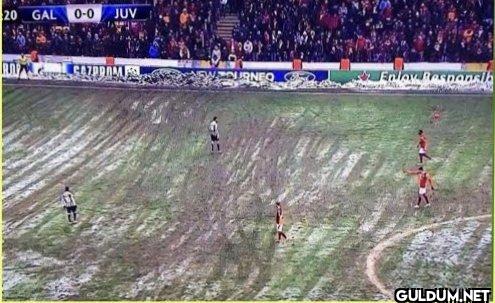 Saha zemininin durumunu...