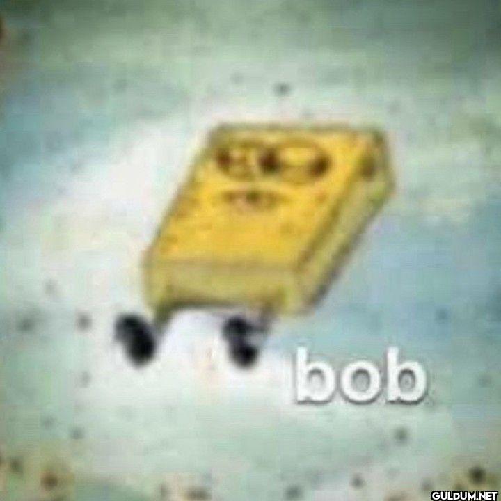 bob