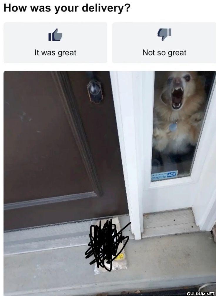 How was your delivery? It...