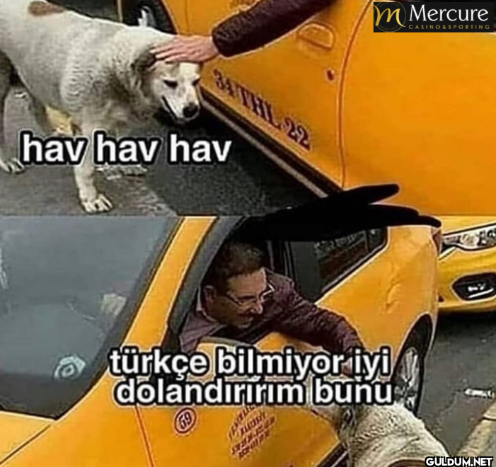 34THL 22 hav hav hav...