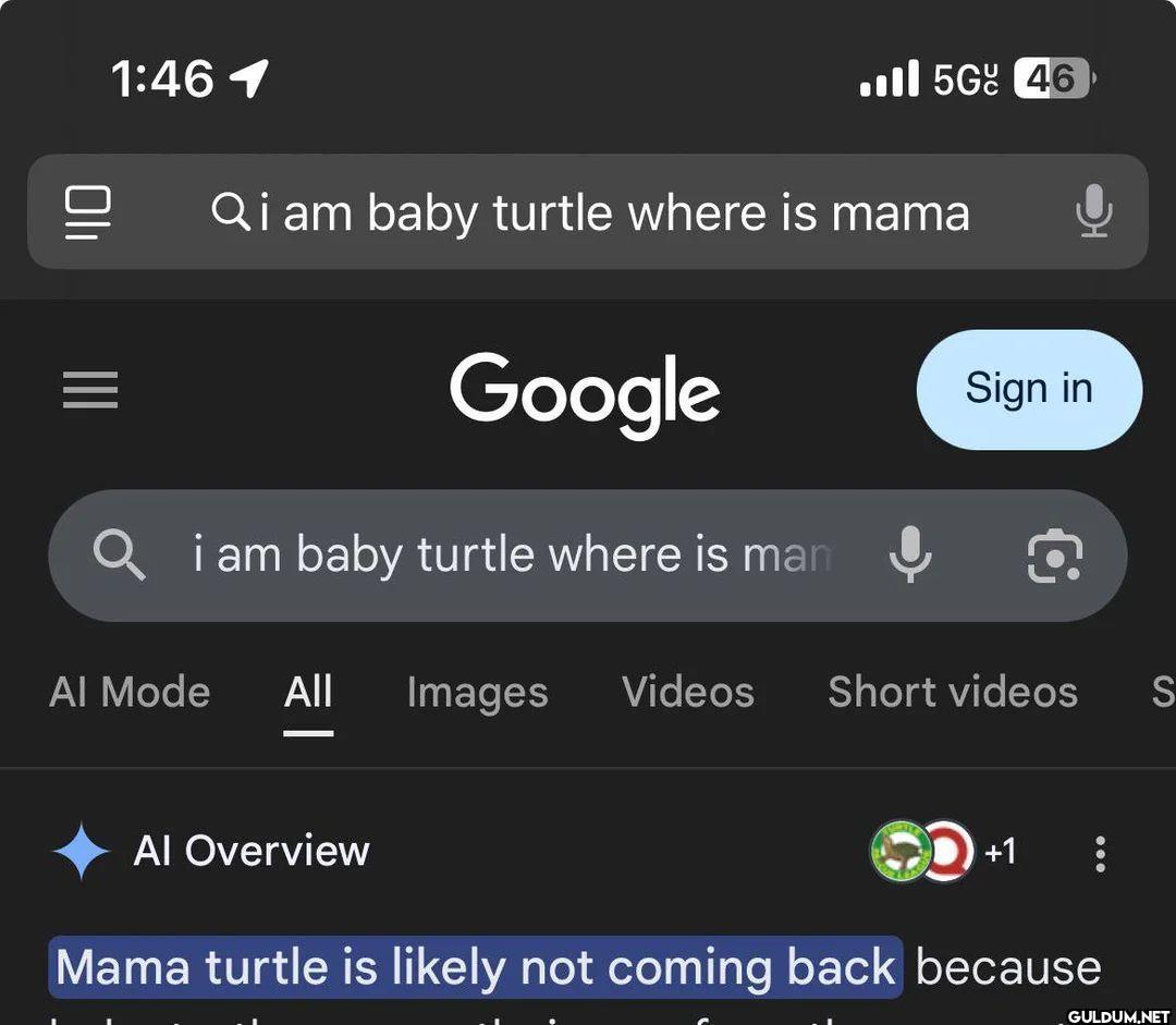 5G 46 i am baby turtle...