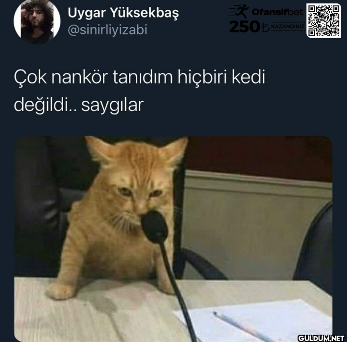 R Ofansifbet 250€...